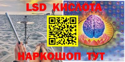 амф Новодвинск