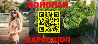 амф Новодвинск