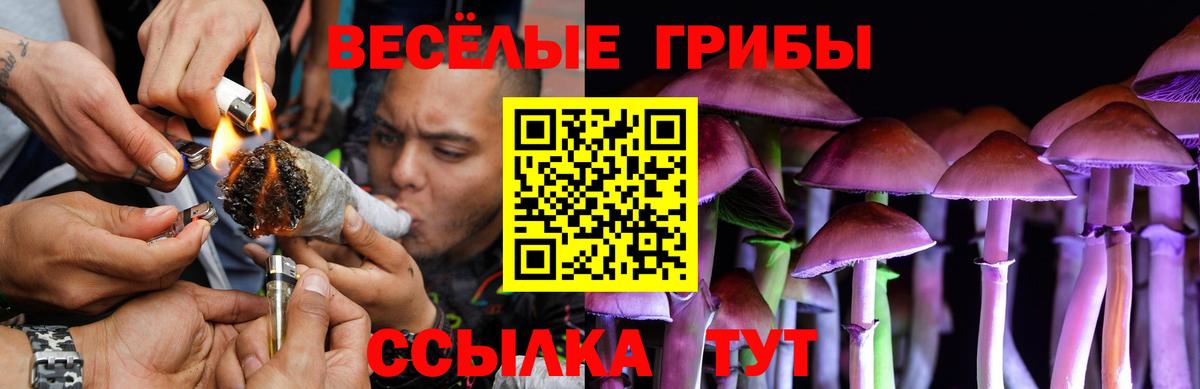 как найти закладки  Вход с VPN  Шали  Псилоцибиновые грибы Psilocybine cubensis 