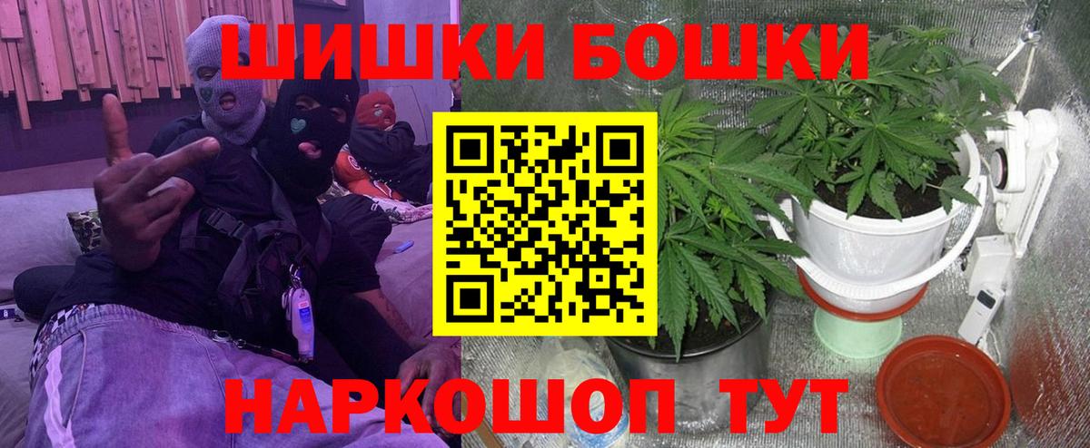 Шишки марихуана сатива Шали